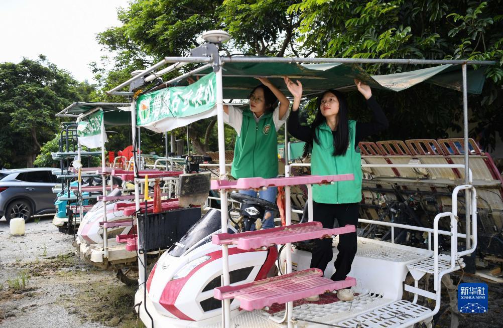 波克捕鱼海豹多少倍
